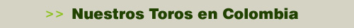 Toros